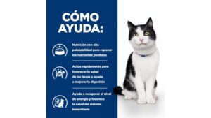 I/D Prescription Diet Gatos - Imagen 3