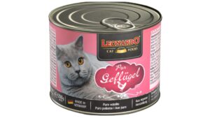 Leonardo lata Ave