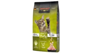 Leonardo gato Adulto GF Poultry