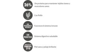 Top One perros adultos minis y pequeños - Imagen 2