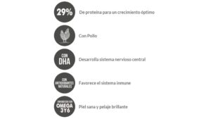 Top One cachorros - medianos y grandes - Imagen 2