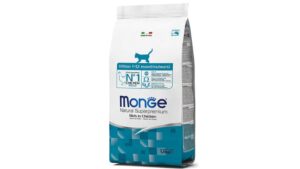 Monge Kitten