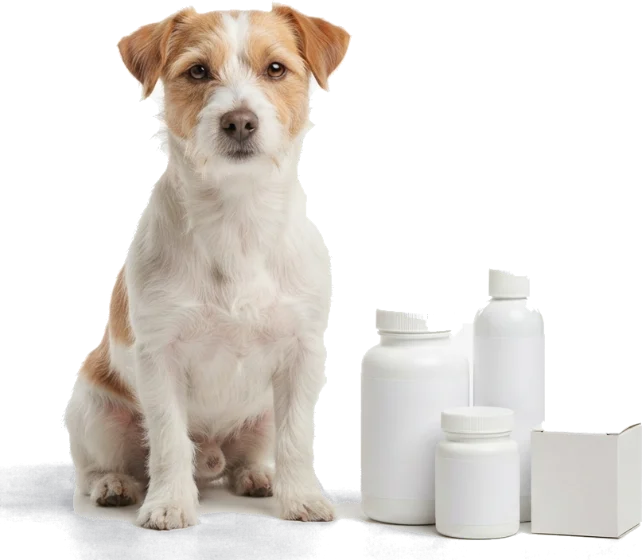 Perro junto a frascos de suplementos veterinarios